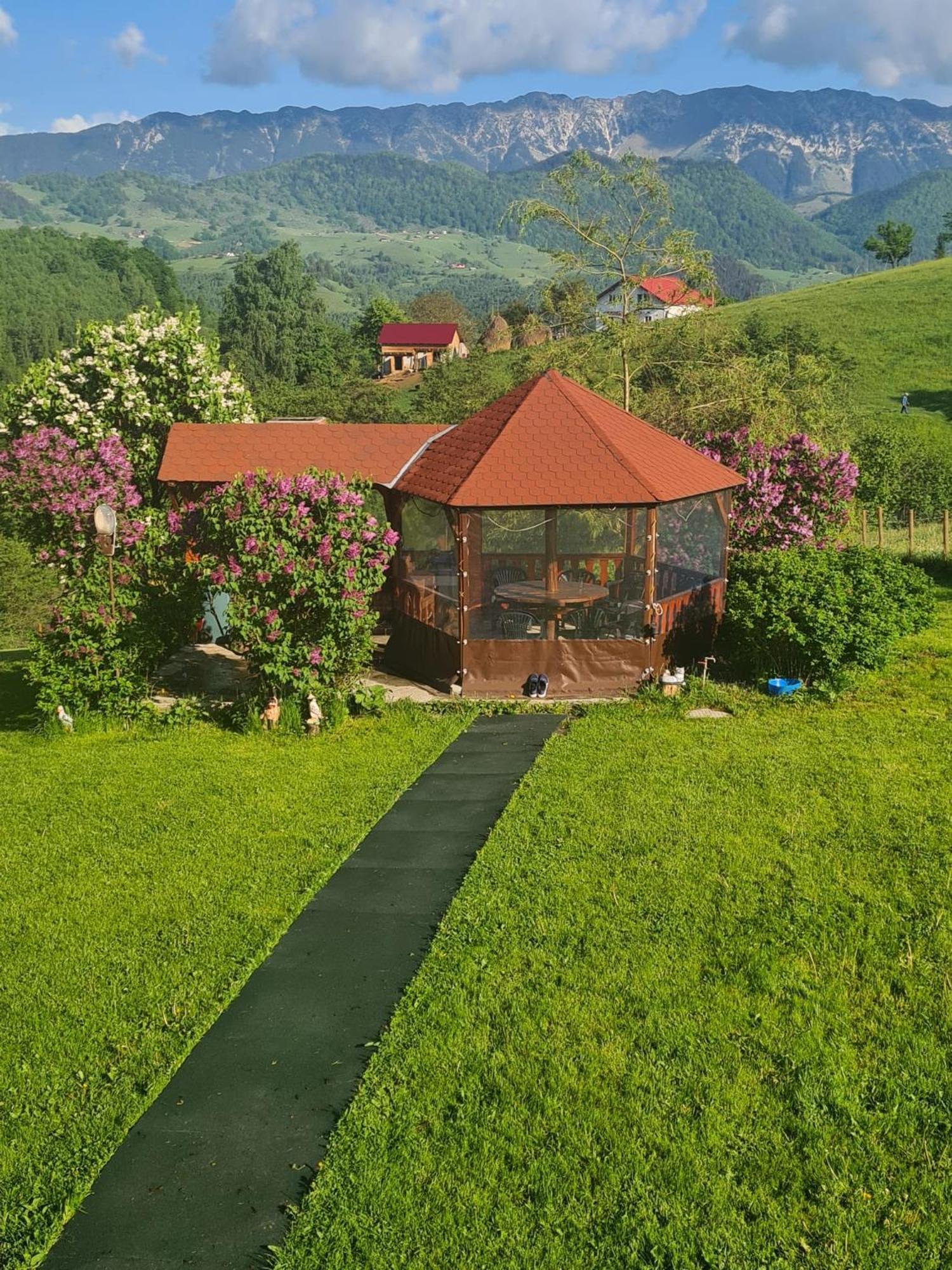 Nona Highland Home Moieciu de Jos Eksteriør billede