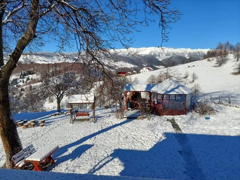Nona Highland Home Moieciu de Jos Eksteriør billede