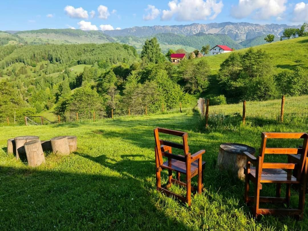 Nona Highland Home Moieciu de Jos Eksteriør billede