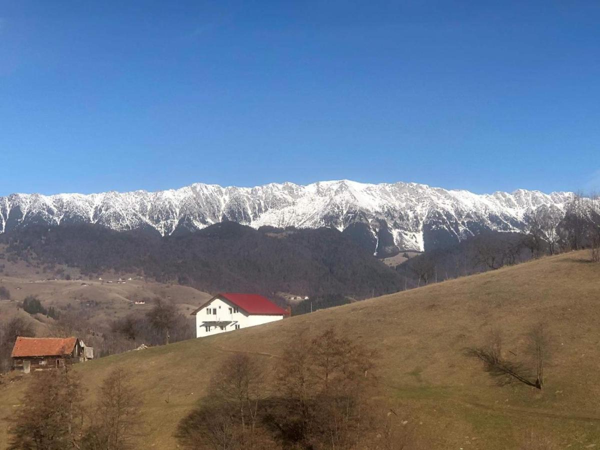 Nona Highland Home Moieciu de Jos Eksteriør billede